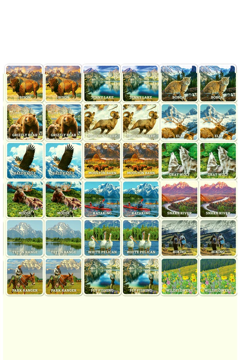 Jr. Ranger - Grand Teton Matching Game, Alternate, color, Multicolor