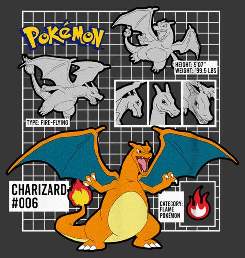 Pokémon Boy's Pokemon Charizard Info Grid  Graphic T-shirt In Gray
