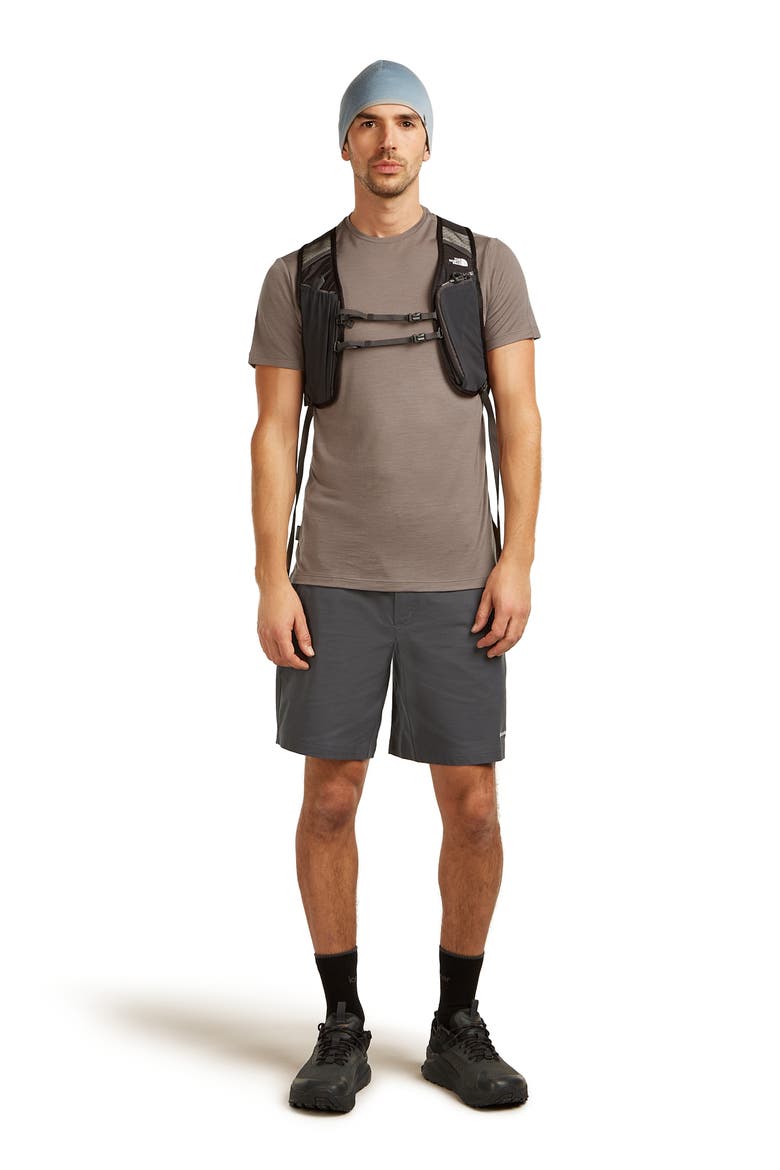 Merino 125 Cool-Lite™ Sphere T-Shirt, Alternate, color, PORCINI