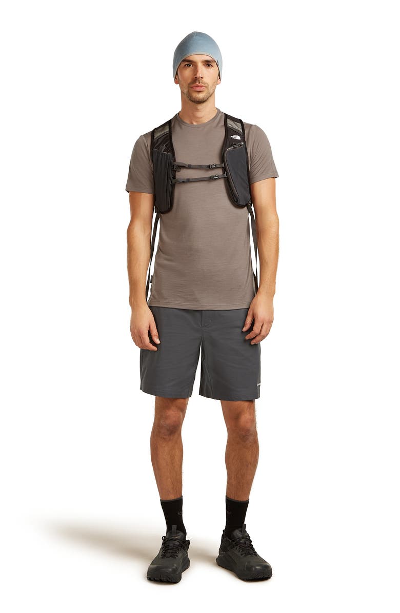 Icebreaker Merino 125 Cool-Lite<sup>™</sup> Sphere T-Shirt, Alternate, color, Porcini