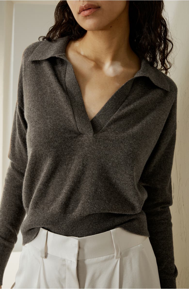 Lilysilk Women's V Neck Cashmere Polo Sweater, Alternate, color, Brown