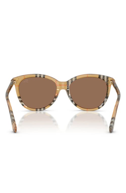 Burberry Be4455f Round Acetate Sunglasses In Dark Brown