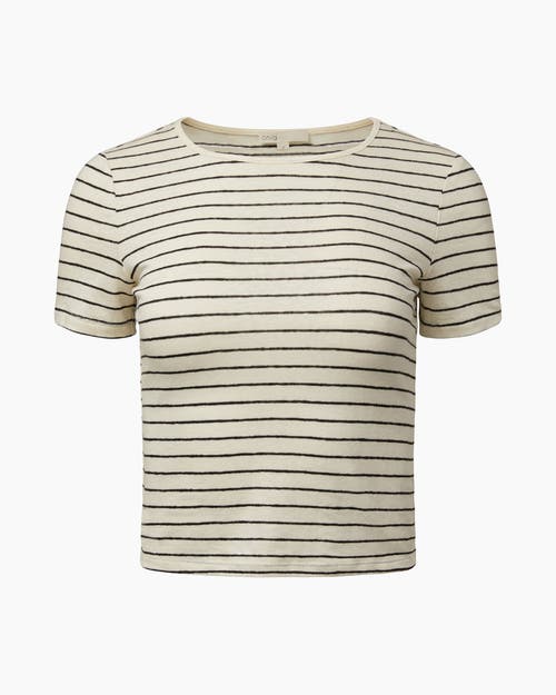 Onia LINEN JERSEY BABY TEE in Cream/black 