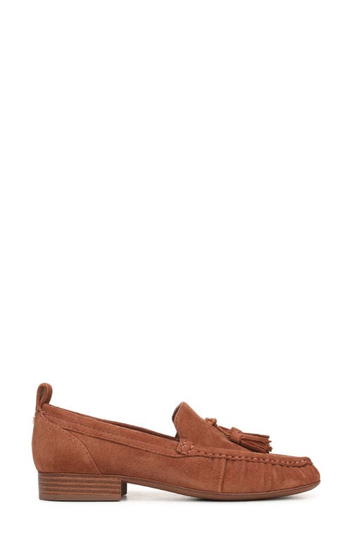 Circus Ny By Sam Edelman Hudson Tassel Loafer In Brown