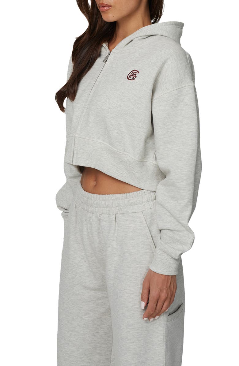 Good For Nothing Cropped Zipped Halftone Hoodie, Alternate, color, Grey