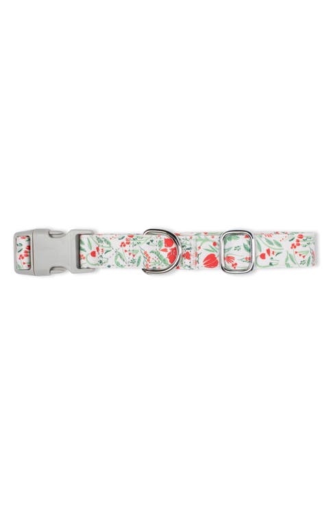 Ditsy Floral Large Dog Collar
