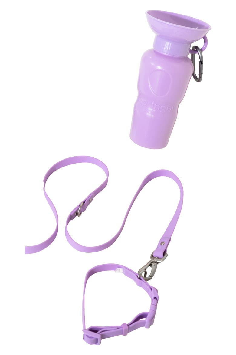 Dog Leash & 22 oz. Water Bottle Set, Main, color, LILAC