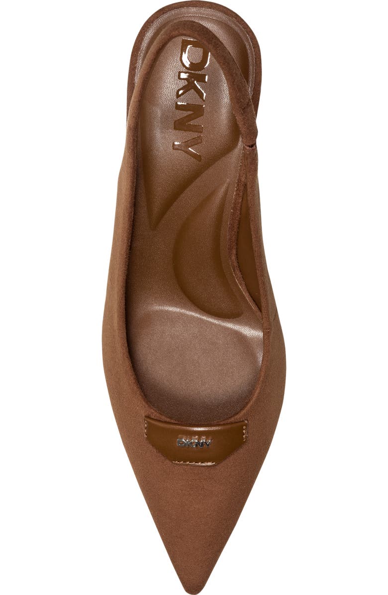 DKNY Camzy Slingback Pointed Toe Pump, Alternate, color,