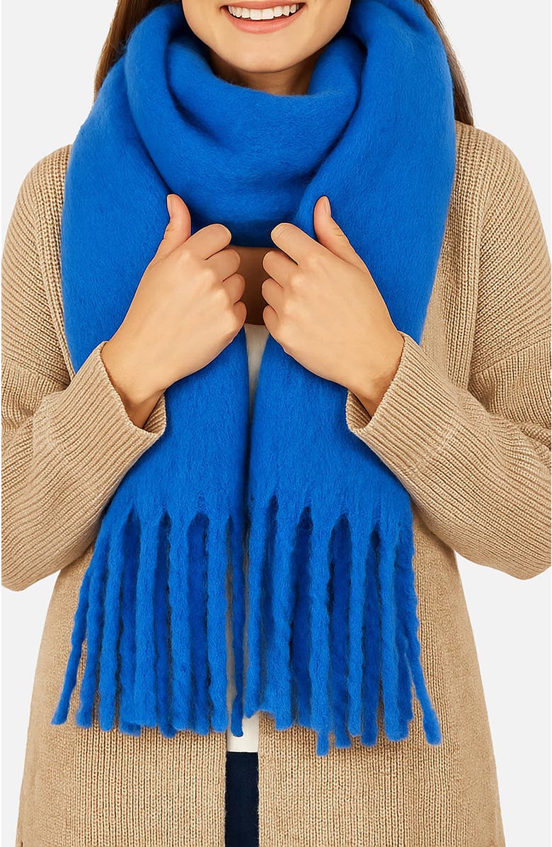 Yumi Soft Touch Scarf, Alternate, color, Blue