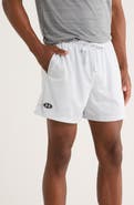 Under Armour Icon Mesh Shorts
