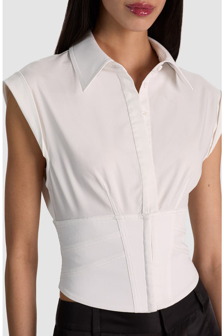 Kim Paneled Corset Top, Alternate, color, OFF WHITE