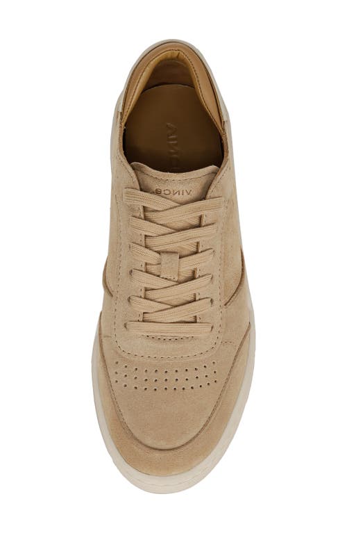 Vince Westside Sneaker In Dark Biscotti