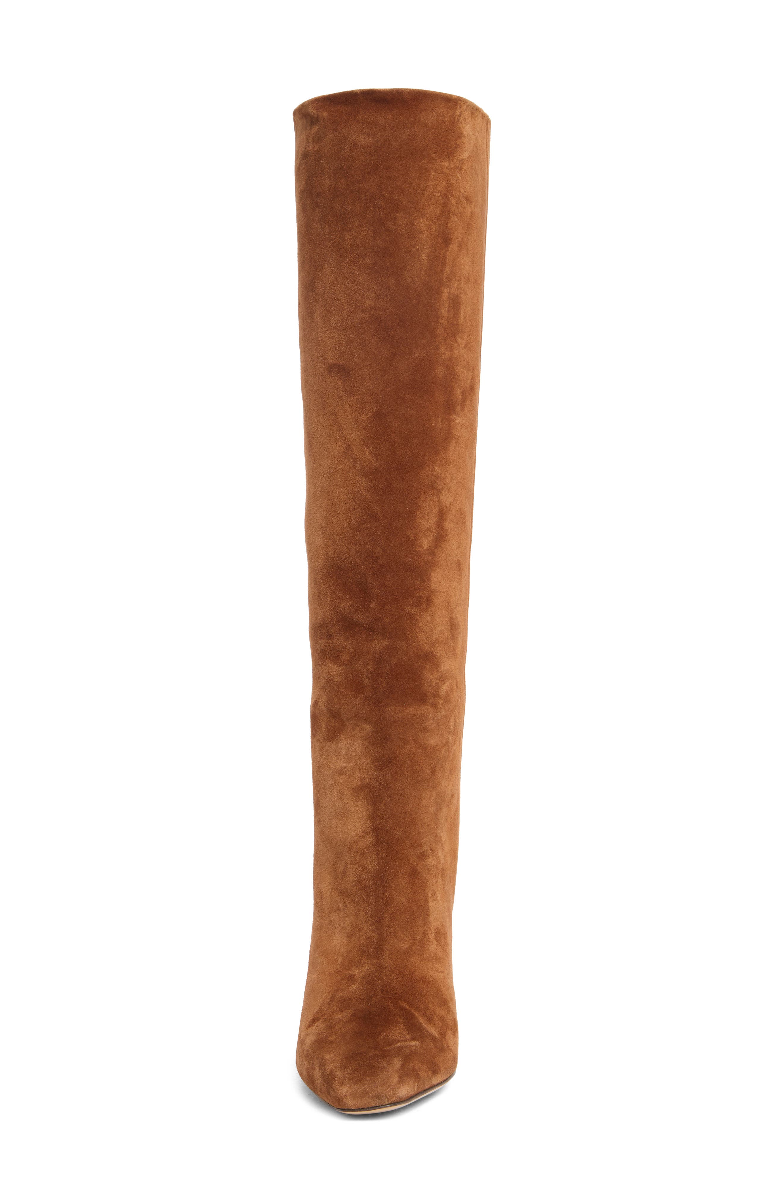 Pampero Suede Tall Boot, Alternate, color, BEIGE