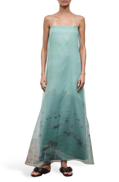 Delfina Print Organza Maxi Dress