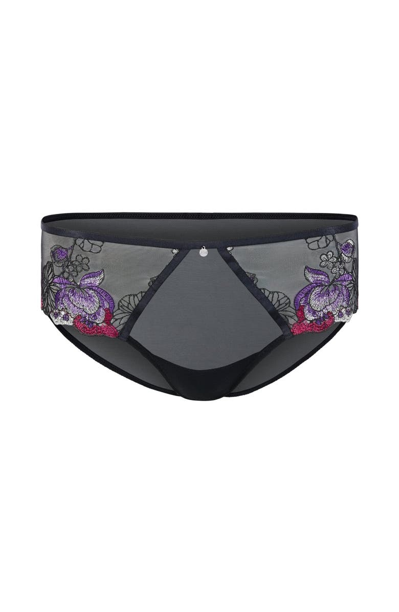 Adore Me Emilie Hipster Panties, Alternate, color, 