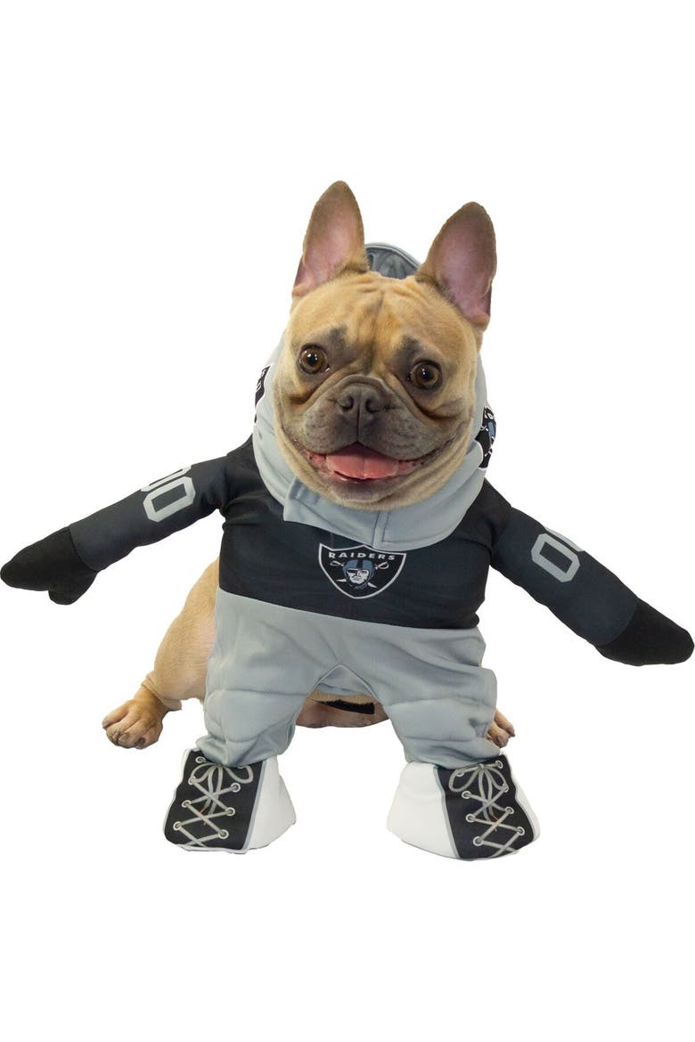 Las Vegas Raiders Running Dog Costume, Main, color, Black