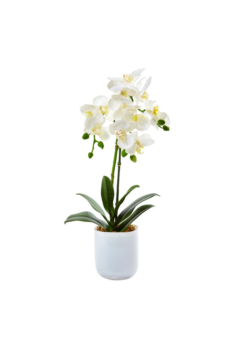 NEARLY NATURAL Phalaenopsis in Frosted Glass, Main, color, White