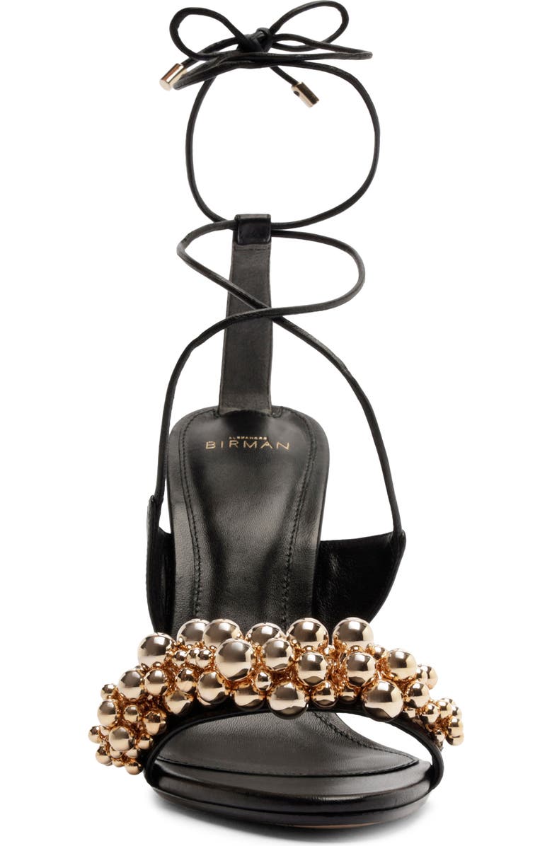 Alexandre Birman Gia Ankle Tie Sandal, Alternate, color, Black