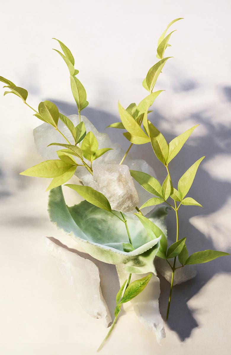 BVLGARI The Blac Eau de Toilette Gift Set, Alternate, color, 