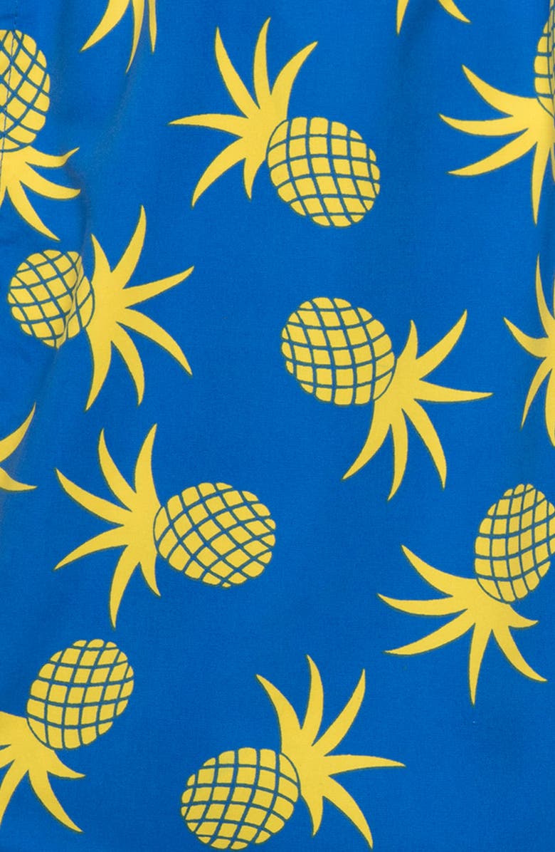 Tom & Teddy Pineapple Swim Trunks, Alternate, color, 