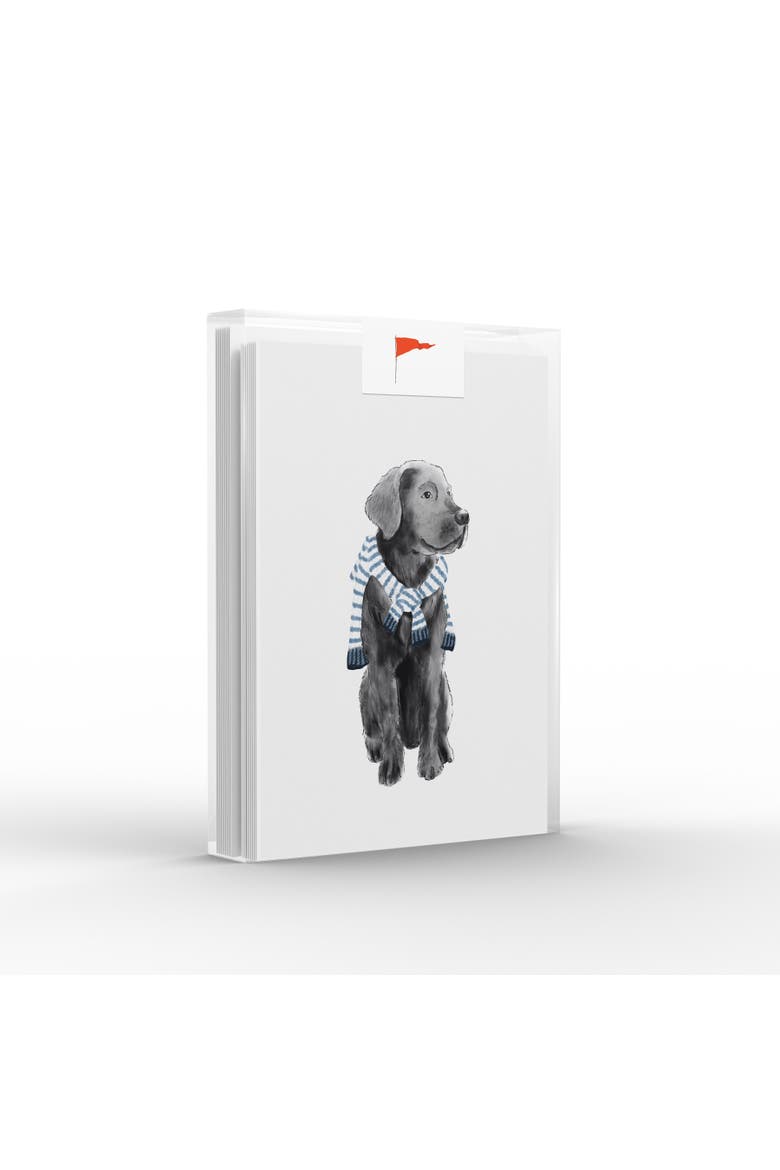 Preppy Black Lab Greeting Card Pack Set, Main, color, Multi-Pack