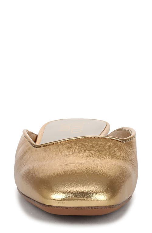 Franco Sarto Dayla Mule