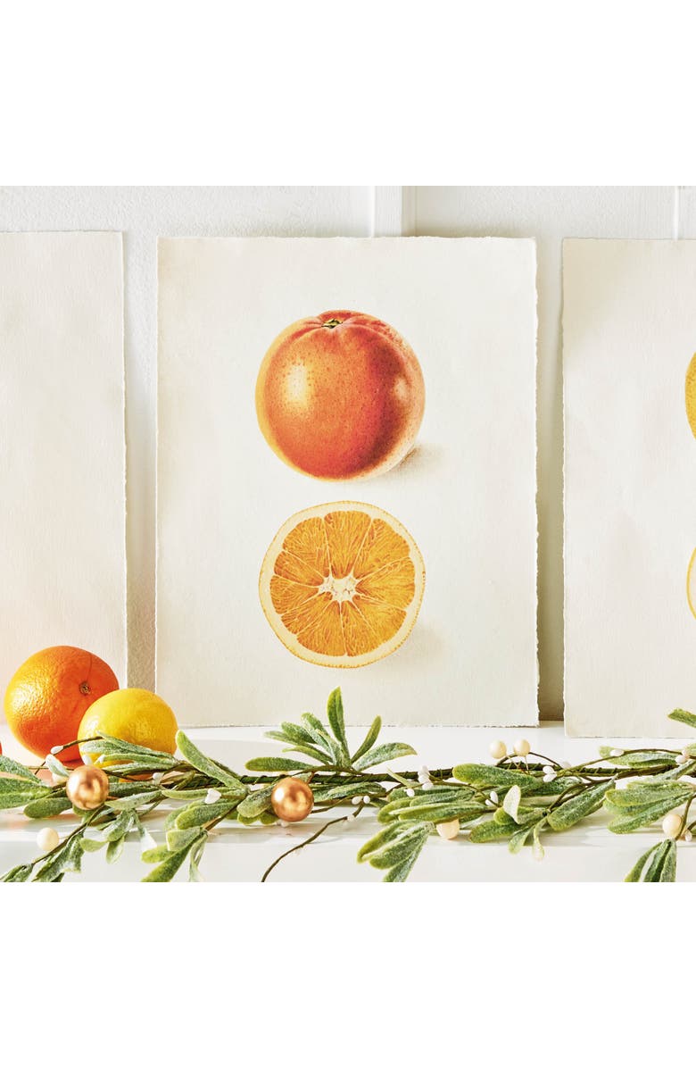 tag Orange Deckled Edge Print Wall Art Multicolor Indoor Decor, Alternate, color, Multicolored