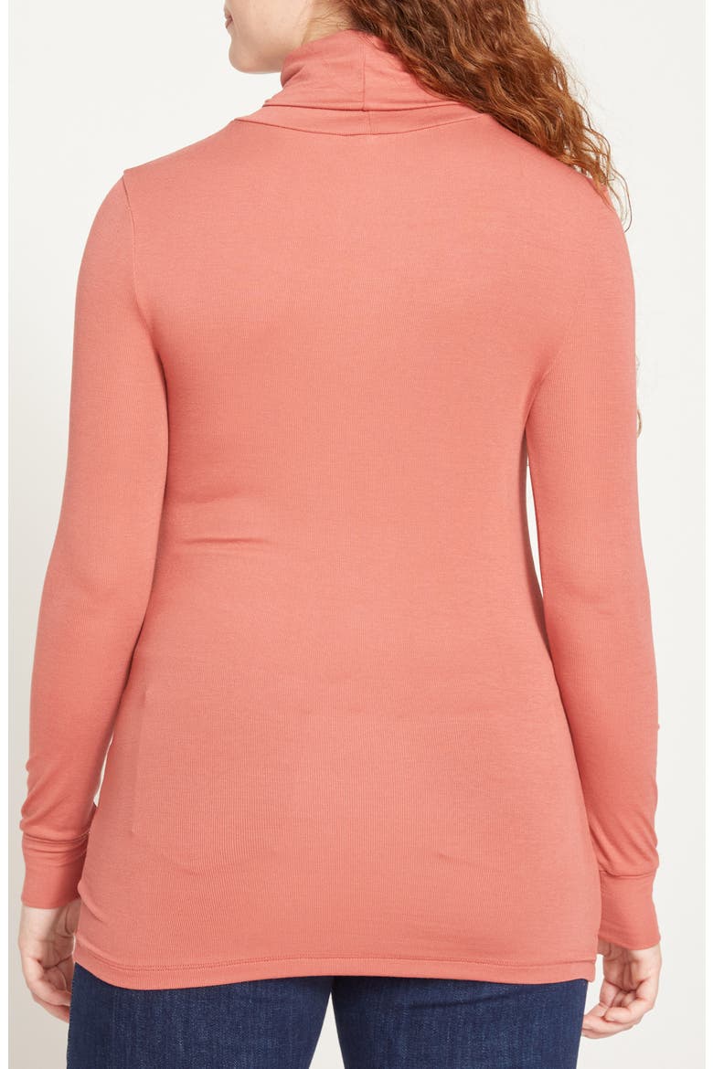 Foundation Turtleneck, Alternate, color, TERRACOTTA RED