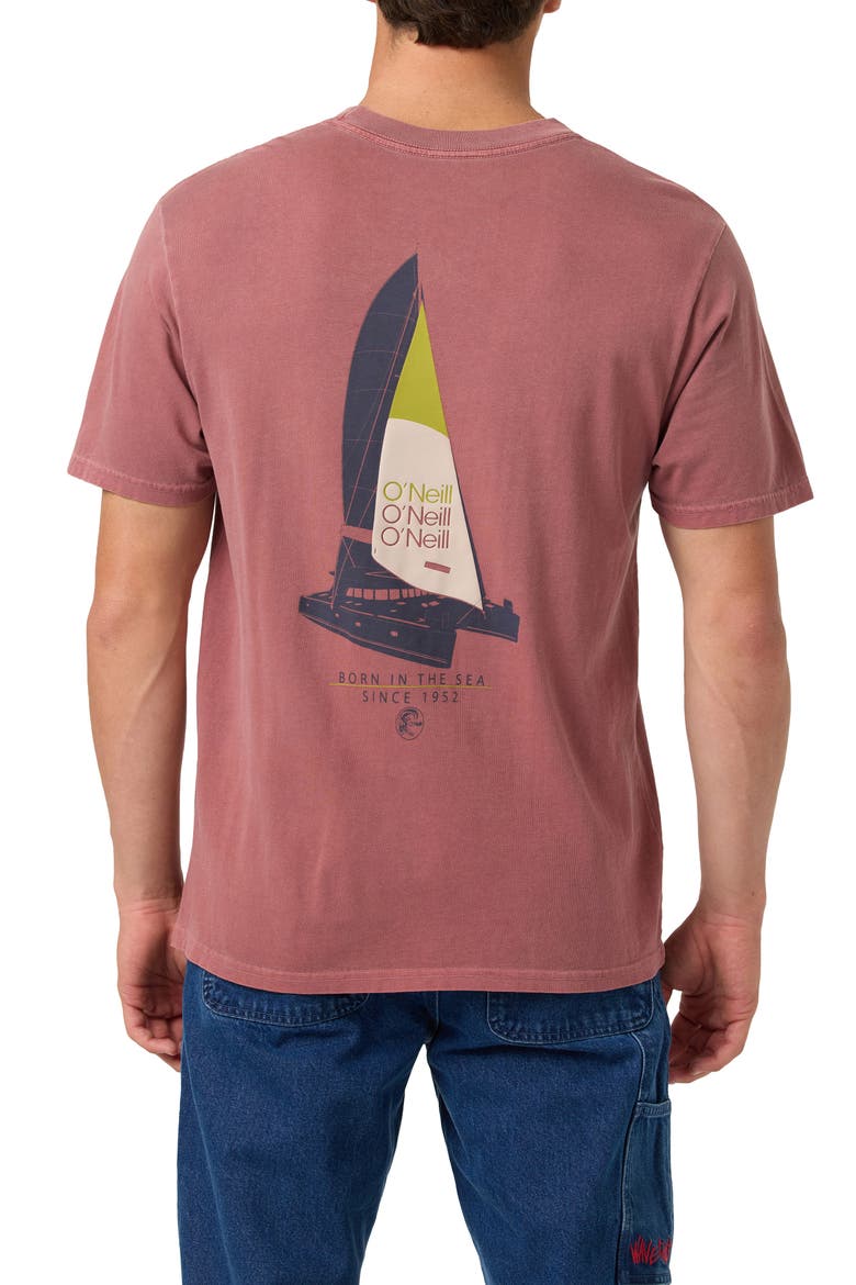 Seaworthy Cotton Graphic T-Shirt, Alternate, color, APPLE BUTTER