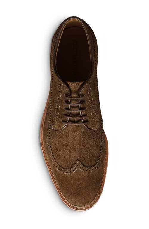 Allen Edmonds Winston Wingtip Brogue Derby In Snuff