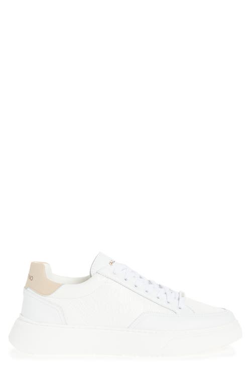 Valentino By Mario Valentino Tommy Low Top Sneaker In Off White/beige