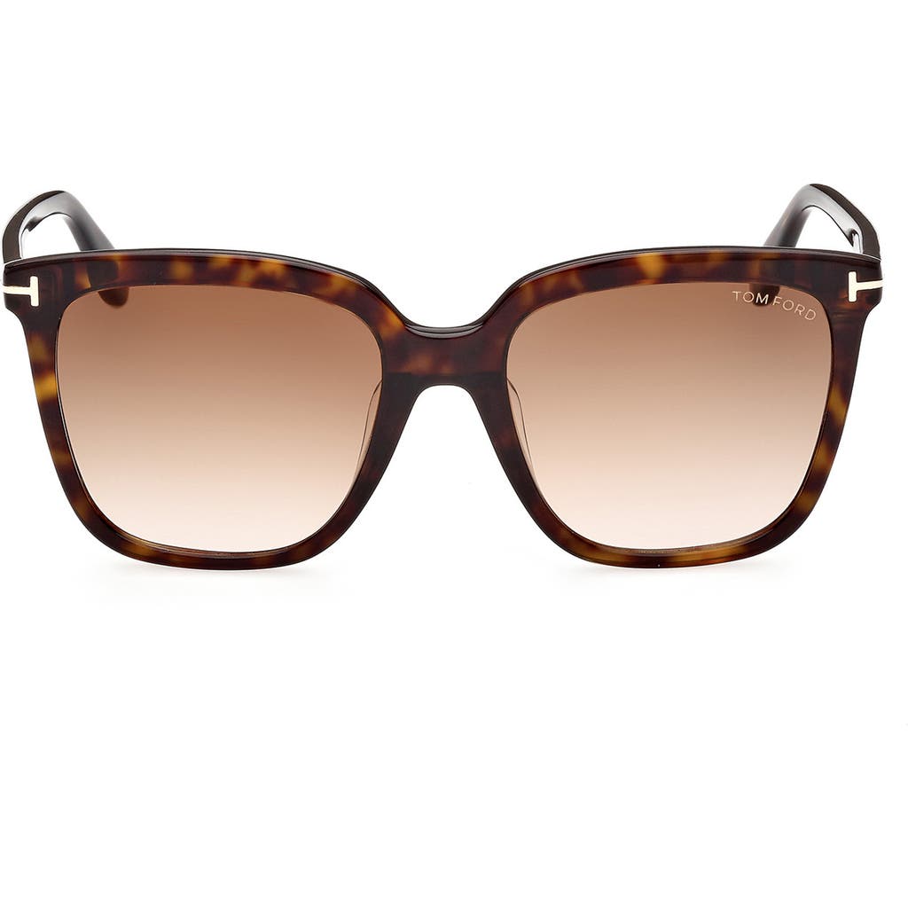 TOM FORD 55mm Butterfly Sunglasses in Dark Havana /Gradient Brown at Nordstrom Rack