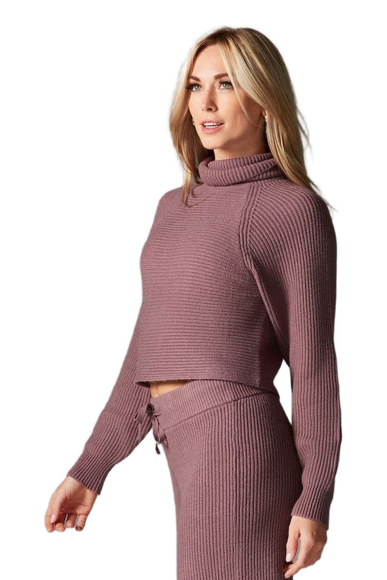 Alpine Knit Turtle Neck, Alternate, color, ROSE