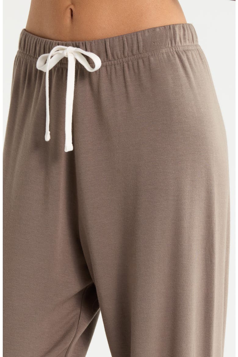 Andie Oversized Modal Fleece Sweatpants, Alternate, color, LENTIL