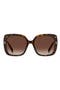  Havana/ Brown Sf
