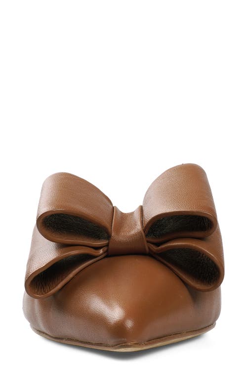 Zigi Finland Pointed Toe Mule In Multi