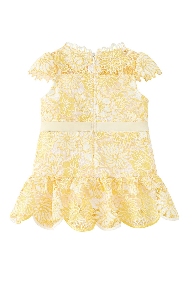 Cassandra Embroidered Mini Dress, Alternate, color, Yellow