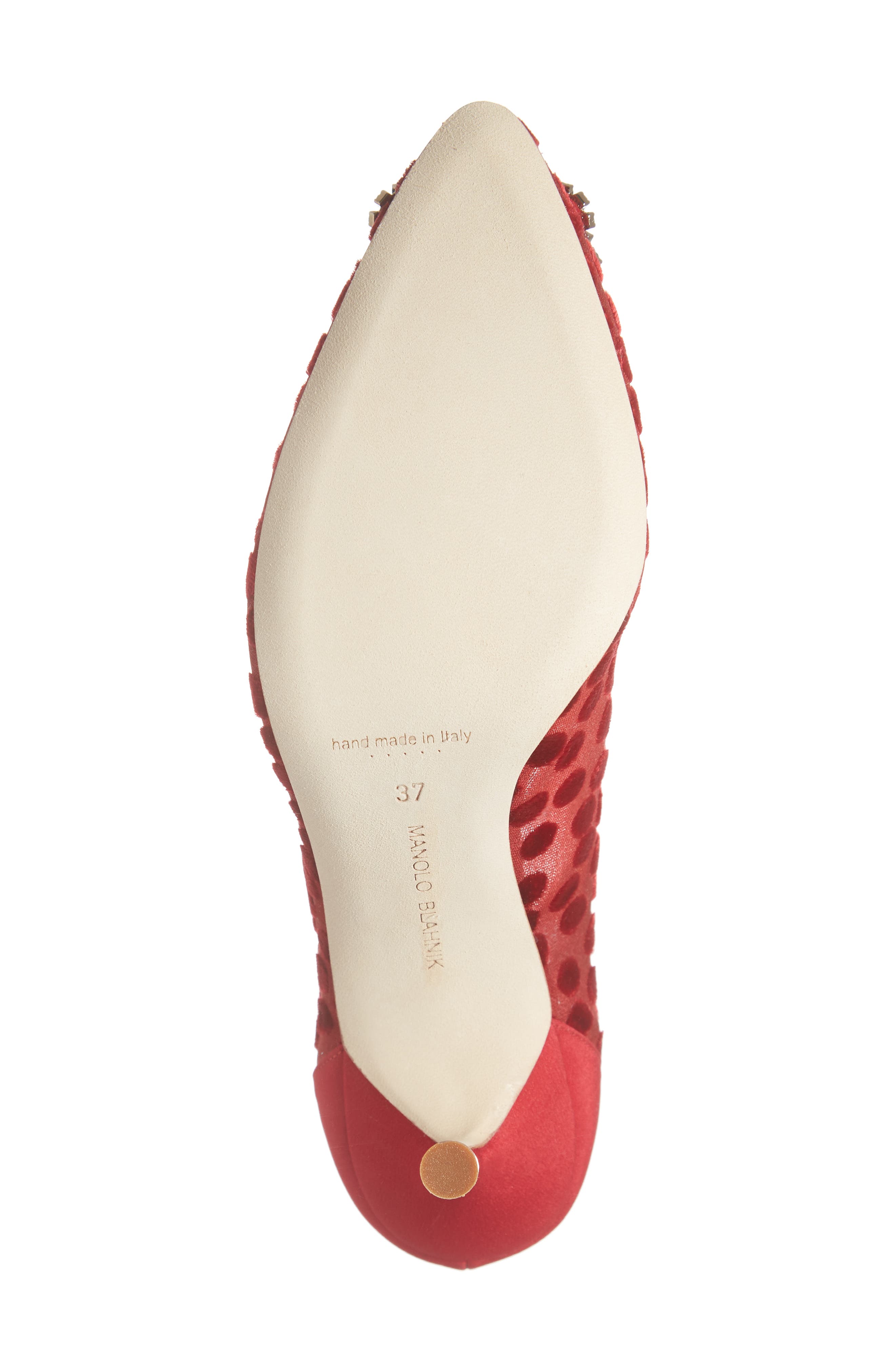 Manolo Blahnik Hangisi Pointed Toe Pump, Alternate, color, 