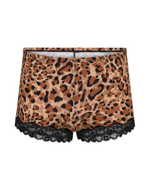 Adore Me Jersey Soft Touch Collection In Brown
