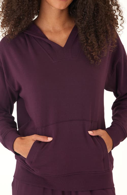 Threads 4 Thought Raya Feather Fleece Hoodie In Multi