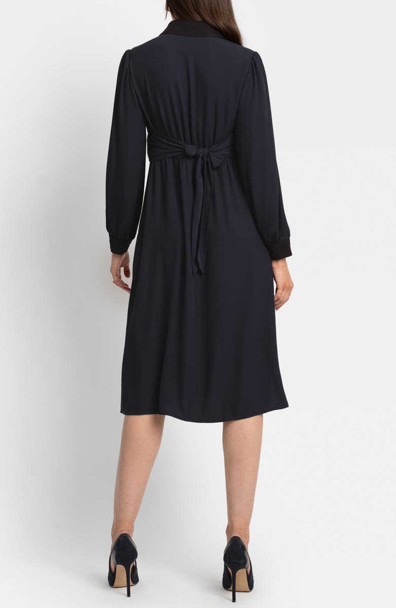 Seraphine Pleated Waist Long Sleeve Maternity/Nursing Shirtdress, Alternate, color, 