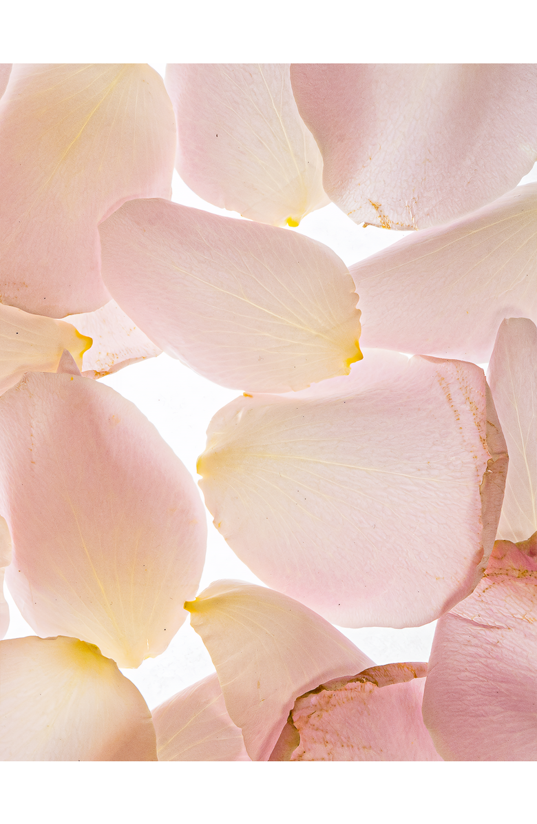 Esas NYC Rosewood Hamam Organic Deo Body Spray - Cedarwood & Crimson Rose, Alternate, color, Black