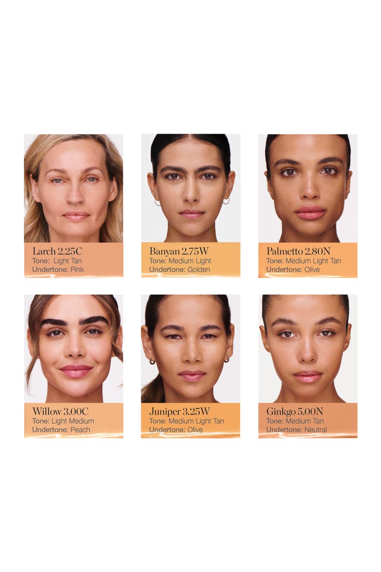 Complexion Perfecting Serum Foundation, Alternate, color, GINKGO