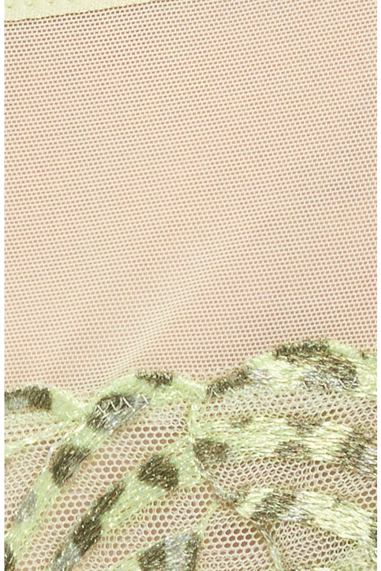Legend Embroidered Tulle Thong, Alternate, color, WILD PISTACHIO