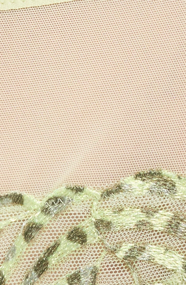 Chantelle Lingerie Legend Embroidered Tulle Thong, Alternate, color, Wild Pistachio