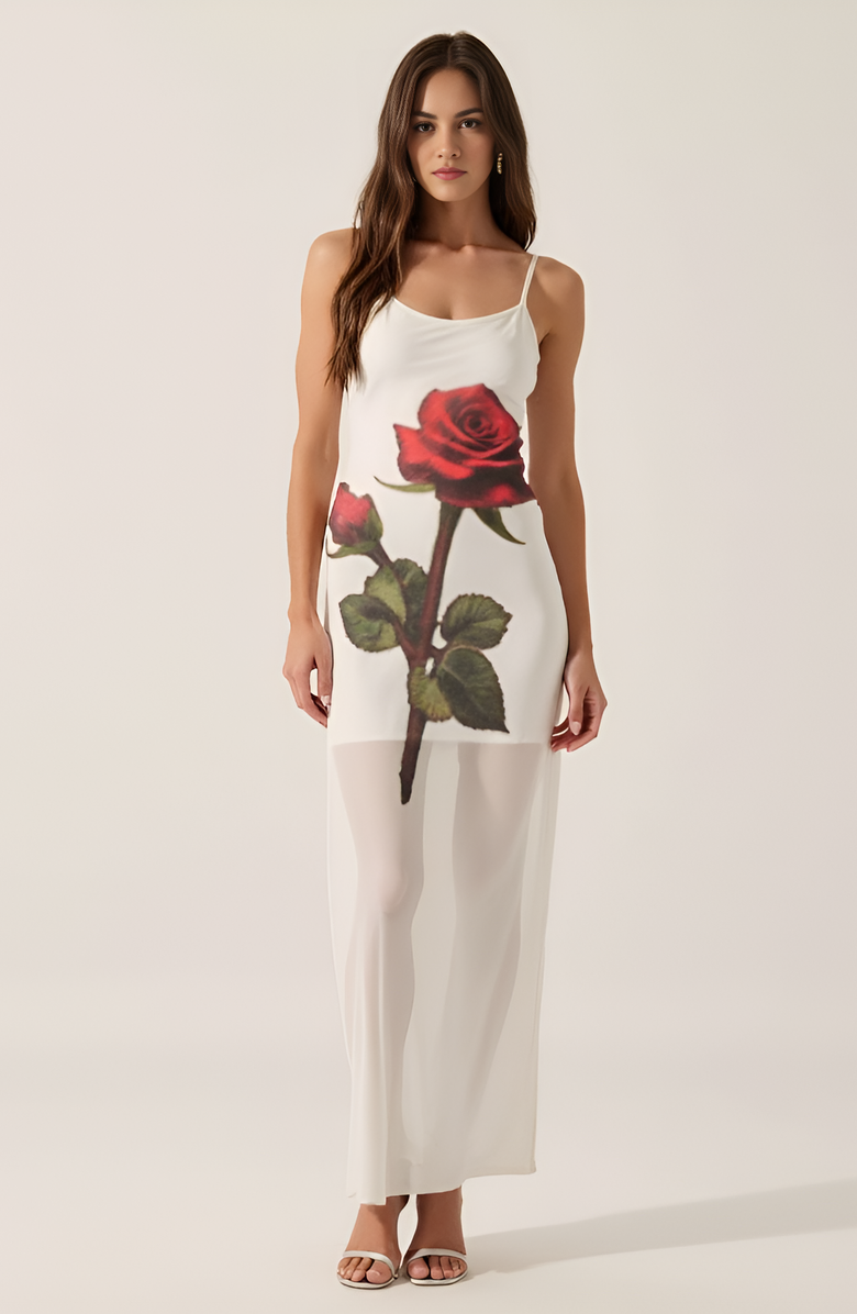 Modenaire Sheer Mesh Maxi Dress with Spaghetti Straps, Main, color, 