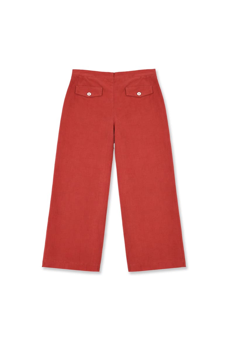 Velvet Wide Leg Pants, Main, color, Rust