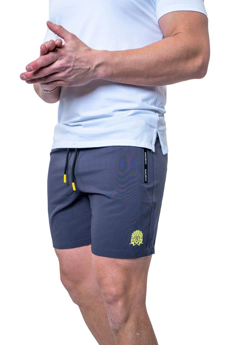 Lion Swim Trunks, Alternate, color, GREY