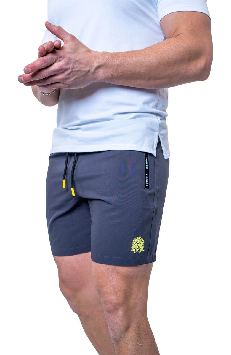 Maceoo Lion Swim Trunks, Alternate, color, Grey