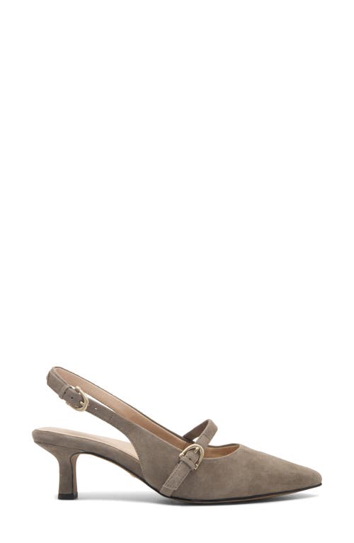 Frankie4 Coco Slingback Pointed Toe Kitten Heel Pump In Brown